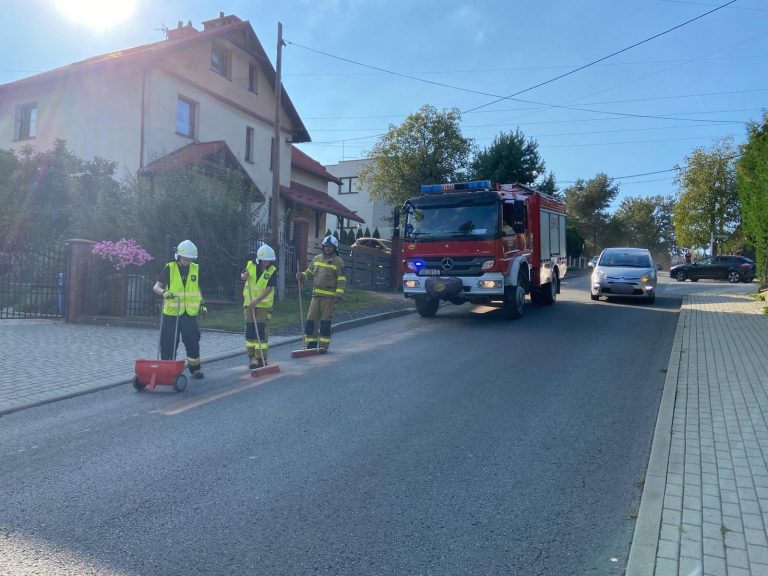 Strona główna 544872485 1204839358348086 5433601434276787334 n min